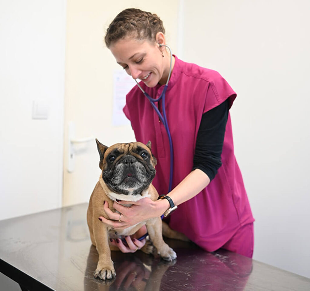 Bienvenue à la Clinique Vétérinaire Pradetane