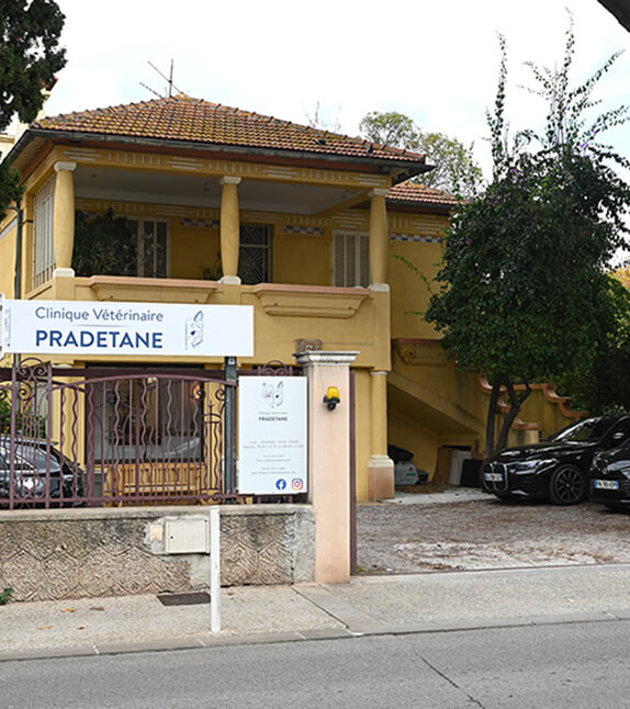 Clinique vétérinaire Pradetane au Pradet