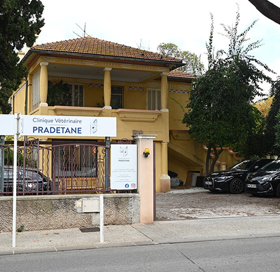 Clinique v&eacute;t&eacute;rinaire Pradetane au Pradet