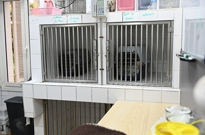 Chirurgie & hospitalisation