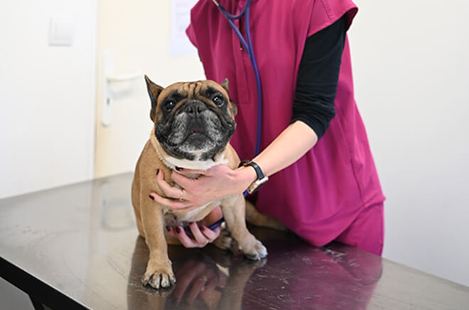 Médecine préventive