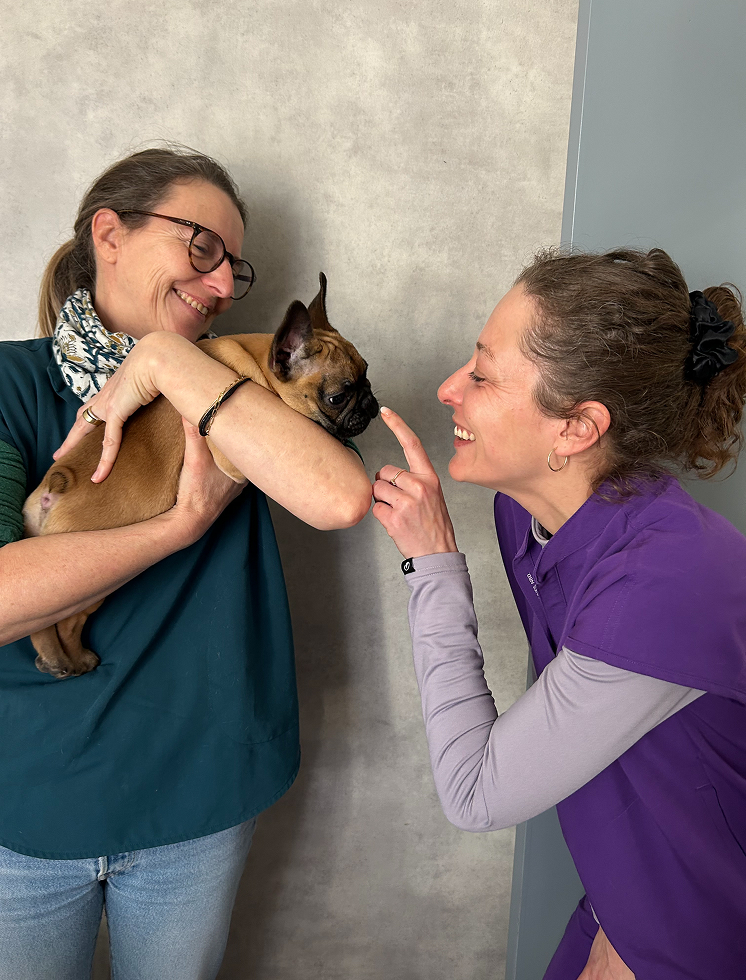 Chiot - Clinique vétérinaire Pradetane Chiot - Clinique vétérinaire Pradetane