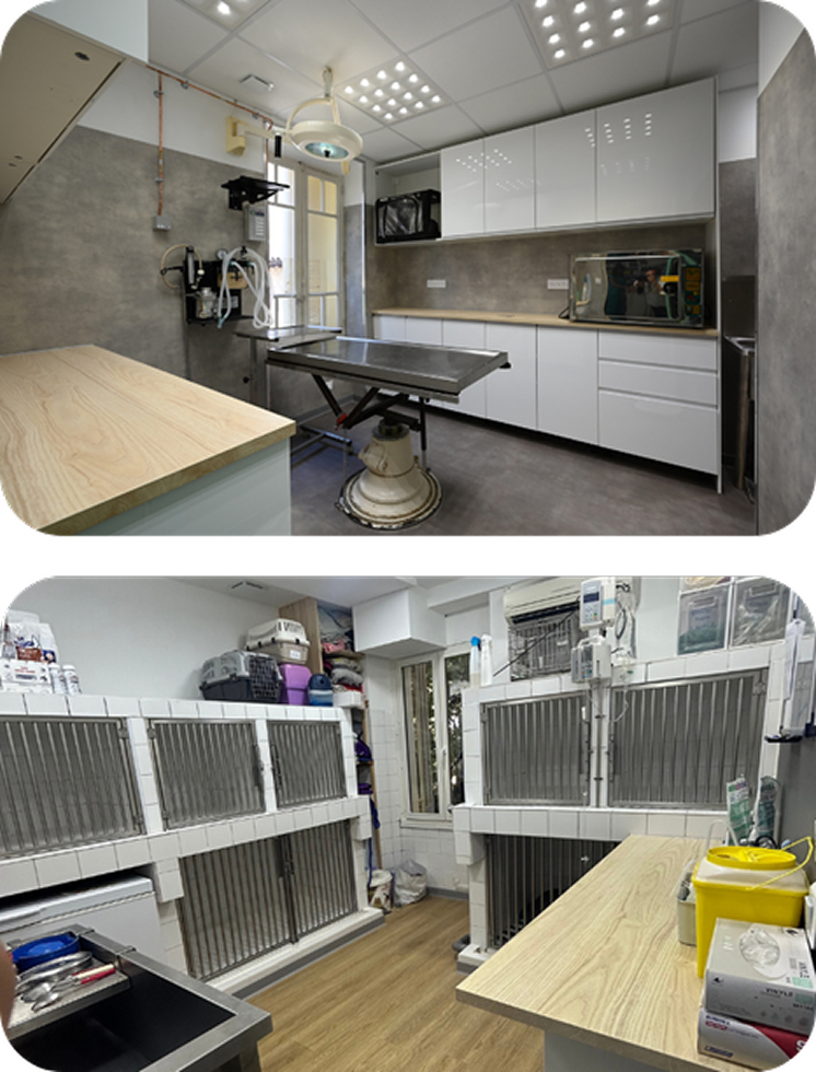 Services - chirurgie et chenil - Clinique vétérinaire Pradetane Services - chirurgie et chenil - Clinique vétérinaire Pradetane